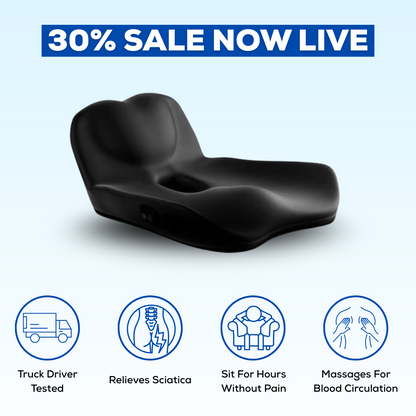 Backsy - Back Buddy Cushion