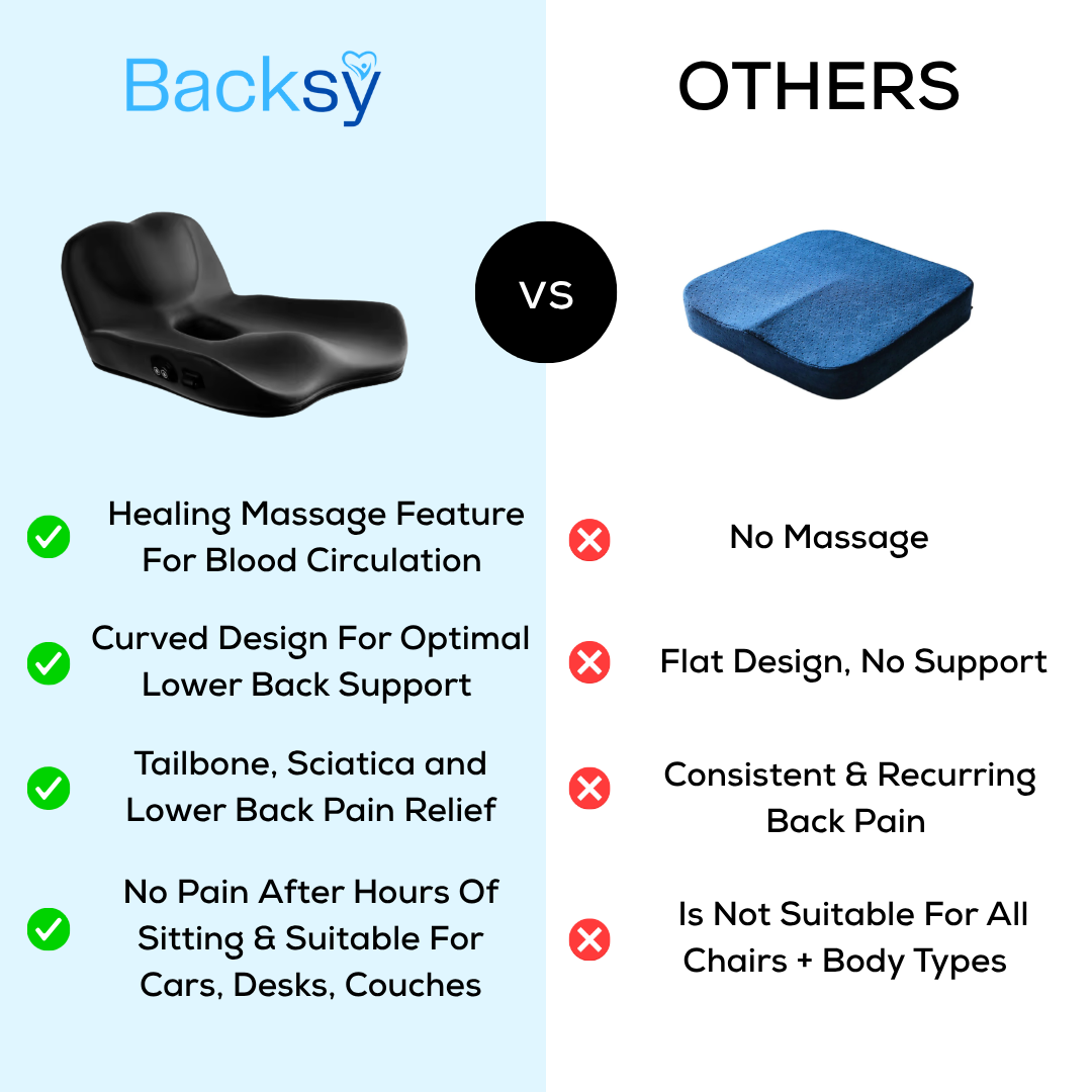 Backsy - Back Buddy Cushion