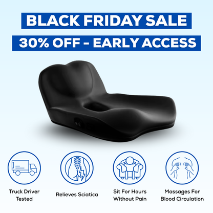 Backsy - Back Buddy Cushion