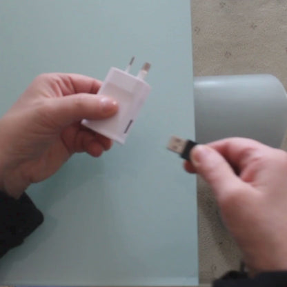 Backsy - Back Buddy Cushion